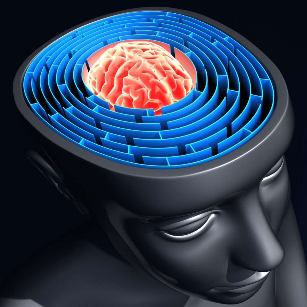 O LABIRINTO DA COMPARAÇÃO  