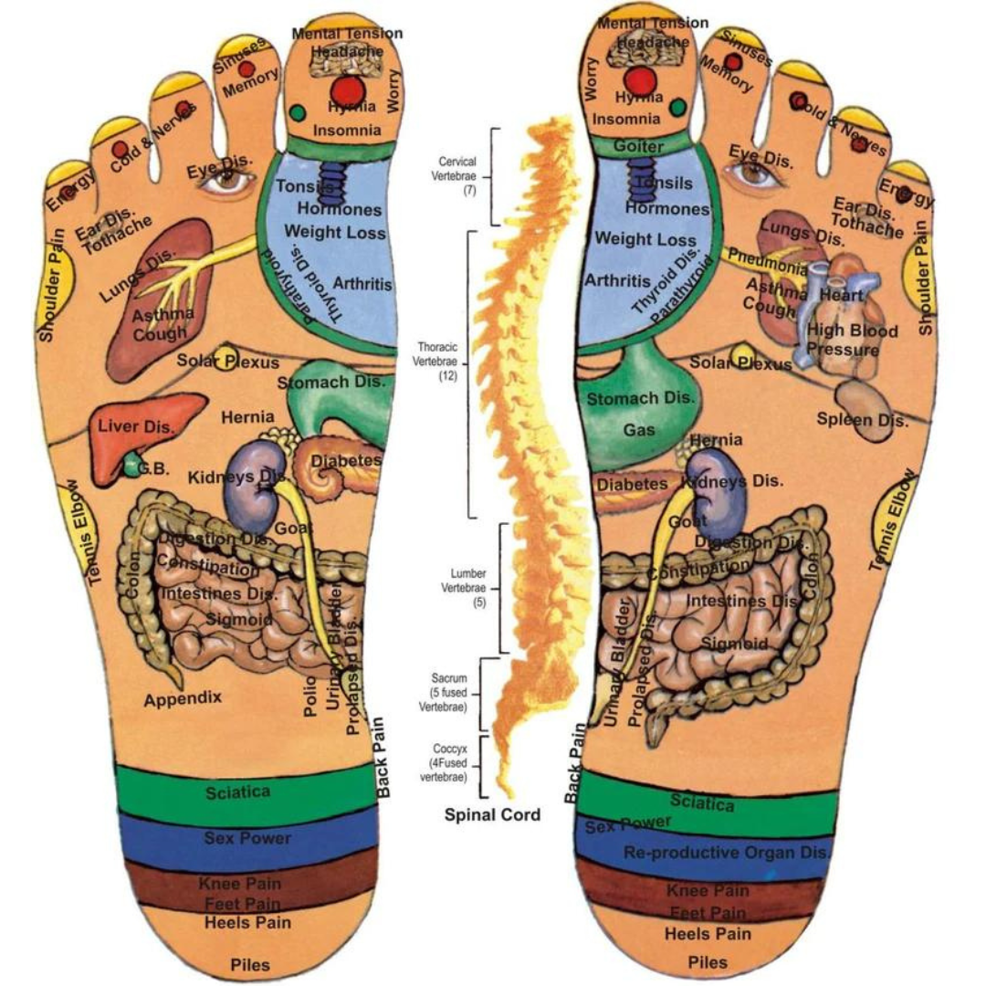 Reflexologia Podal - Allan massagista e terapeuta